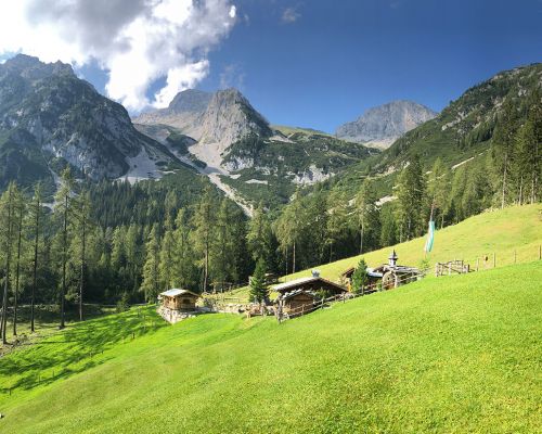 summer on the alp