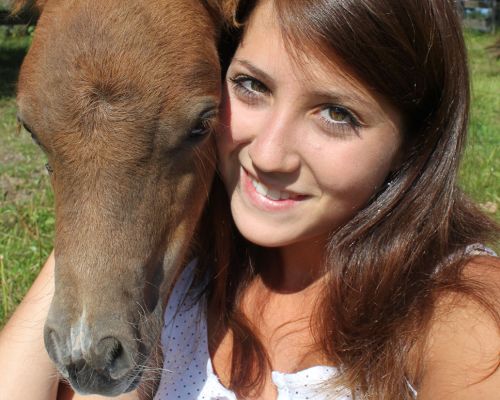 ponys am hof am Bio-Bauernhof Simonbauer mit Apartments, Ferienhaus, Penthaus und Zimmer in Ramsau am Dachstein