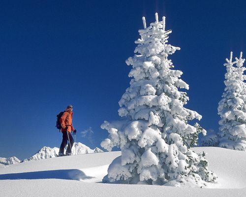 Skitour Ramsau
