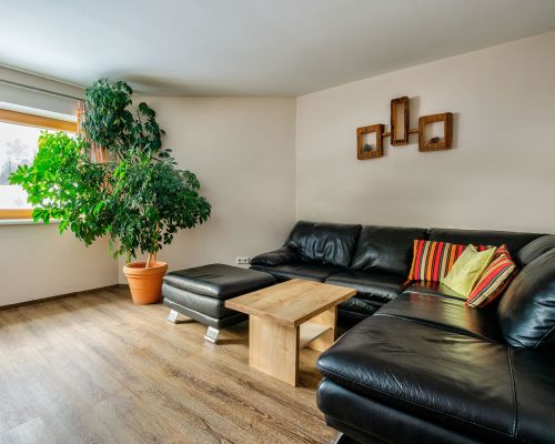 gemütliche Couch im Appartment am Bio-Bauernhof Simonbauer mit Apartments, Ferienhaus, Penthaus und Zimmer in Ramsau am Dachstein