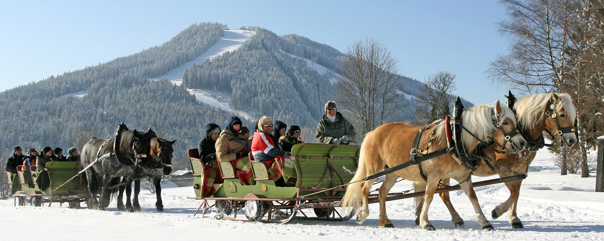 Pferdeschlittenfahrt Ramsau